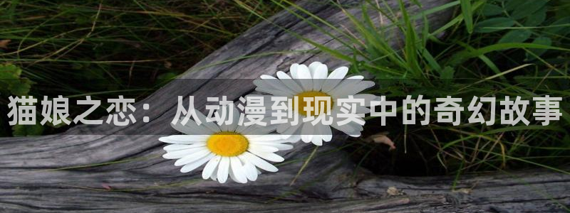 动漫天堂18：猫娘之恋：从动漫到现实中的奇幻故事