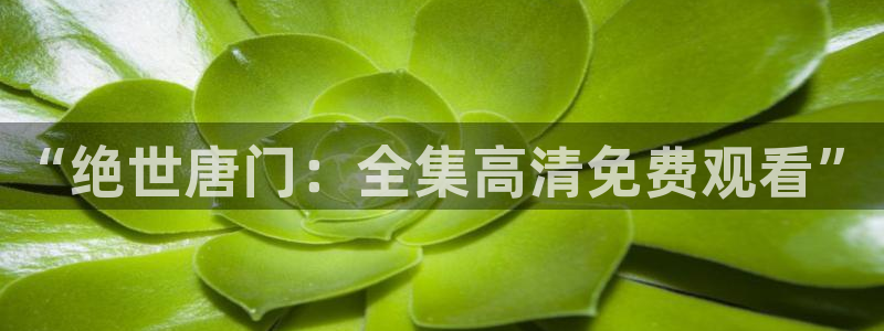 免费动漫天堂之吻：“绝世唐门：全集高清免费观看”